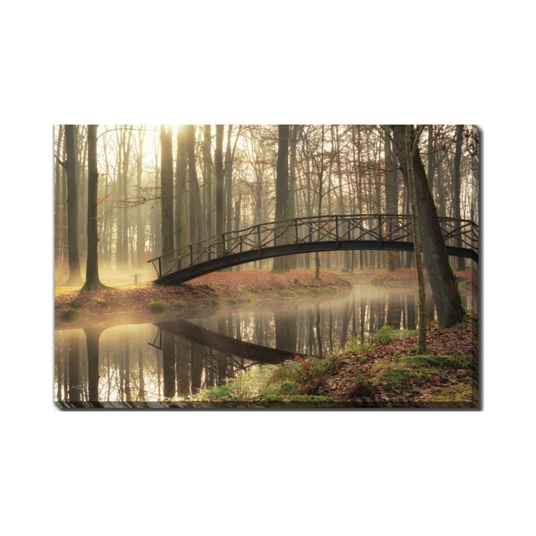 Bridge Over Trouble Waters