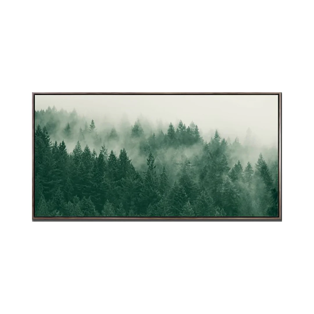 Emerald Forest