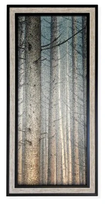 Forest Dreaming I