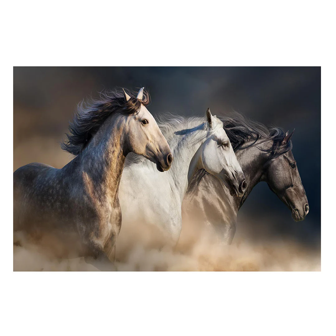 Three Horses - Image 2